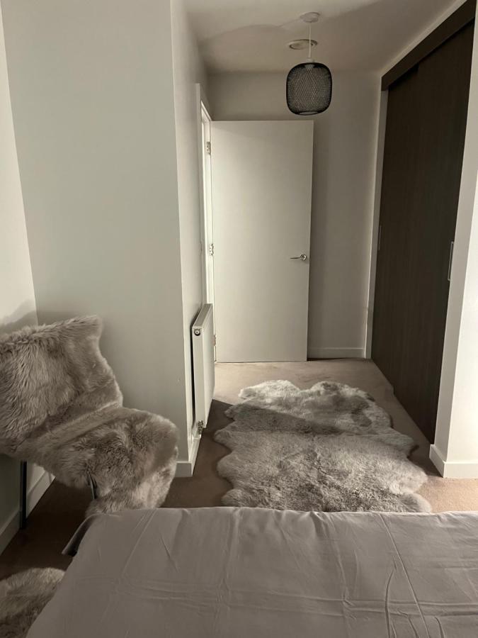 Luxurious Dlr Apartment ロンドン エクステリア 写真
